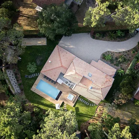 Villa De Luxe Avec Piscine Chauffee, Jacuzzi, Sauna Au Coeur De La Foret Des Landes *