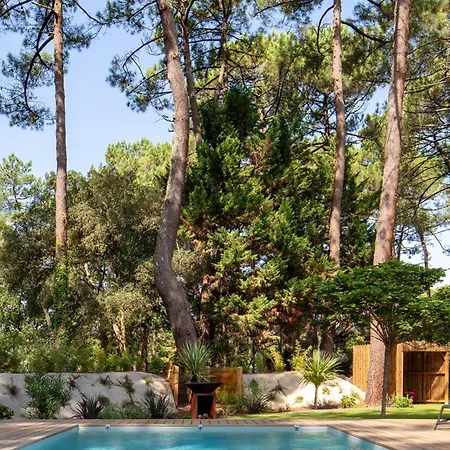 De Luxe Avec Piscine Chauffee, Jacuzzi, Sauna Au Coeur De La Foret Des Landes Villa Soorts-Hossegor