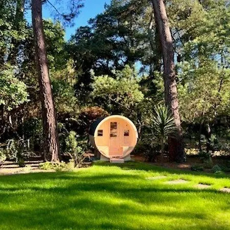 De Luxe Avec Piscine Chauffee, Jacuzzi, Sauna Au Coeur De La Foret Des Landes * Soorts-Hossegor