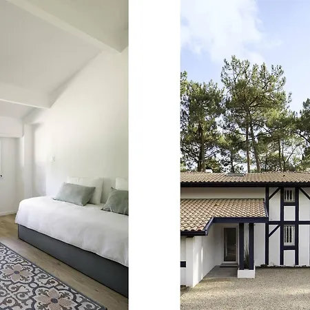 De Luxe Avec Piscine Chauffee, Jacuzzi, Sauna Au Coeur De La Foret Des Landes Villa