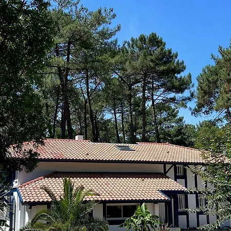 De Luxe Avec Piscine Chauffee, Jacuzzi, Sauna Au Coeur De La Foret Des Landes * Soorts-Hossegor