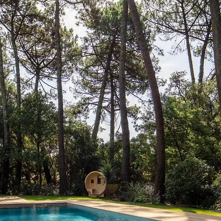 Villa De Luxe Avec Piscine Chauffee, Jacuzzi, Sauna Au Coeur De La Foret Des Landes *